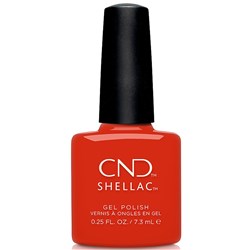 Shellac - Hot Or Knot
